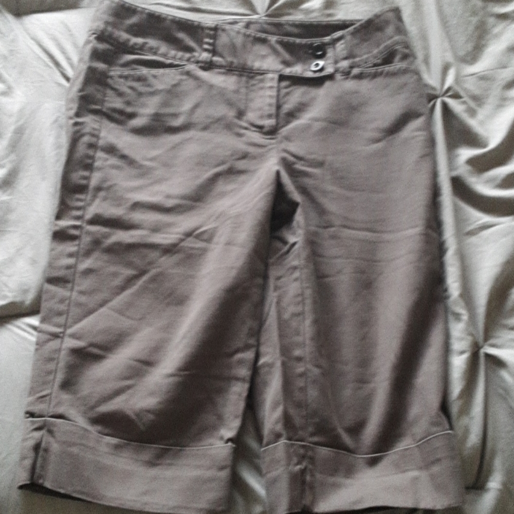 Ann Taylor shorts 4